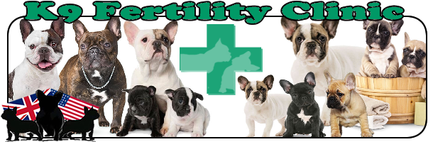 Kingston K9 Fertility Clinic